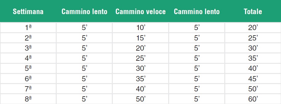 Camminata e trekking urbano