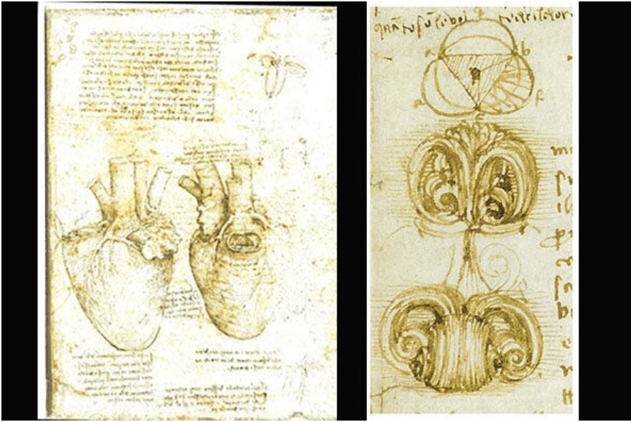 La matematica fa bene al cuore