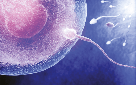 Una nuova epidemia: l’infertilità maschile