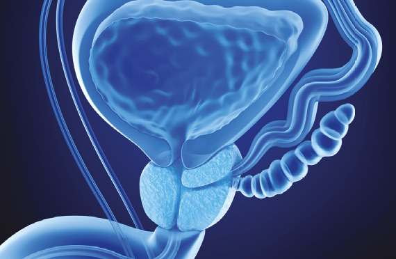 La prostata: una storia di secoli