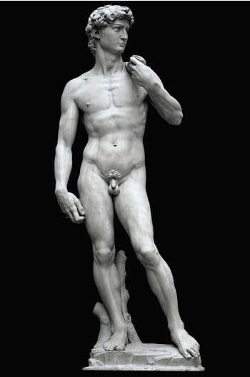 Michelangelo: curiosità anatomiche nell’opera di un Genio