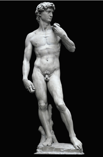 Michelangelo: curiosità anatomiche nell’opera di un Genio