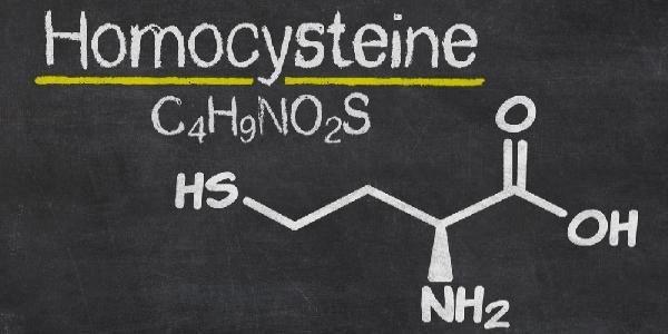 Nel caso della Omocisteina, aminoacido solforato, divenuto particolarmente noto nella prevenzione cardiovascolare,