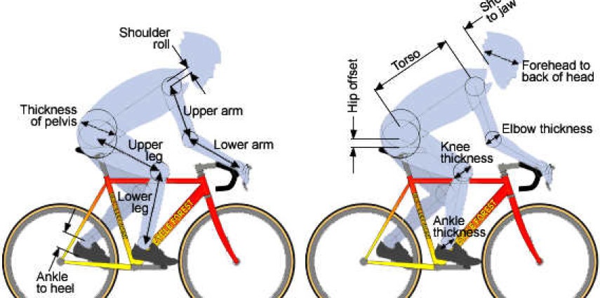 Il ruolo di una corretta postura nella biomeccanica del ciclista
