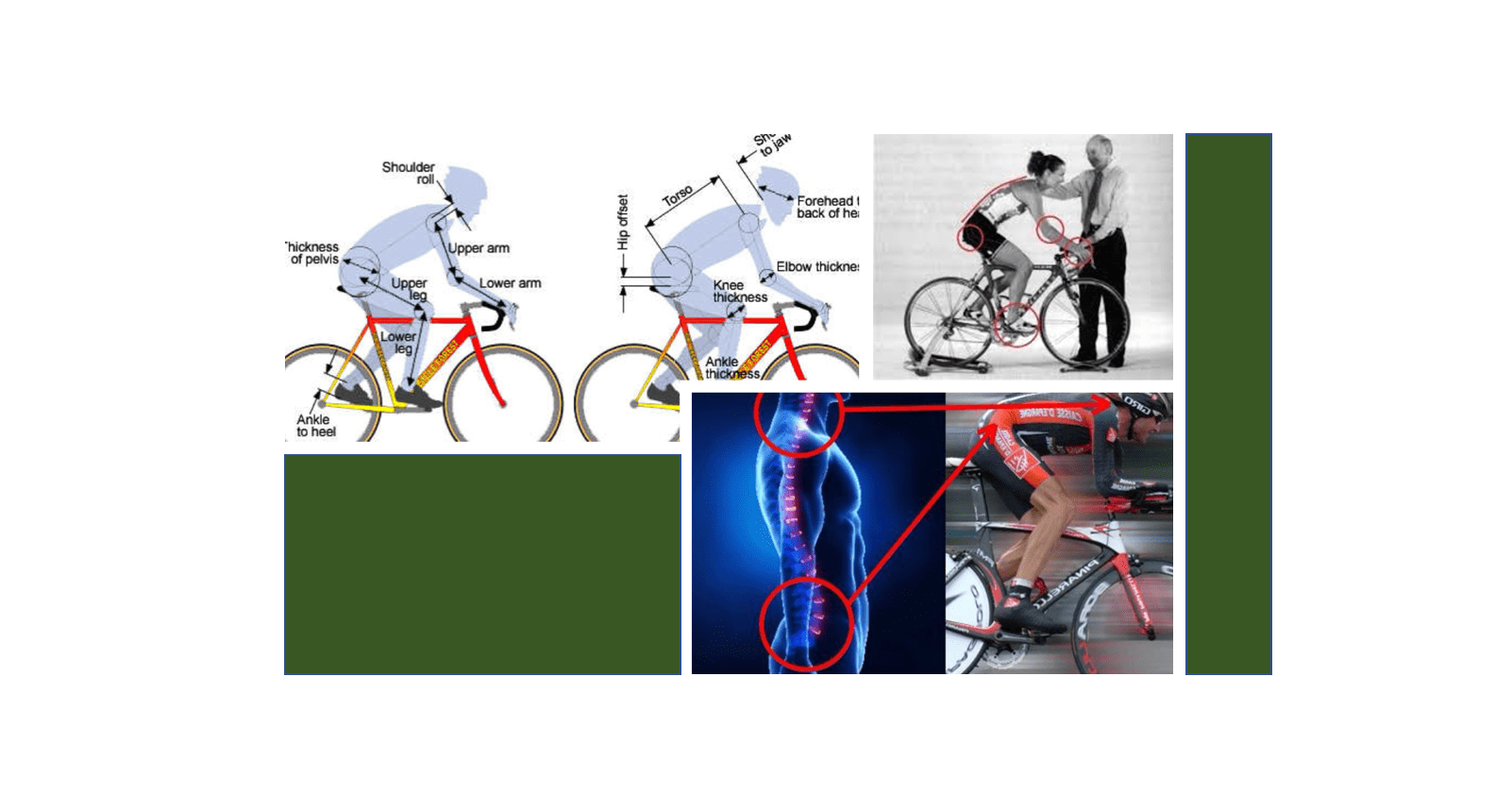 Il ruolo di una corretta postura nella biomeccanica del ciclista