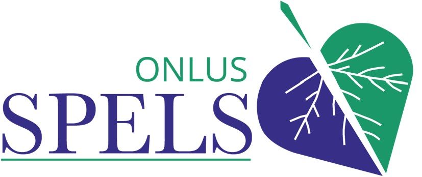 Logo Spels Academy